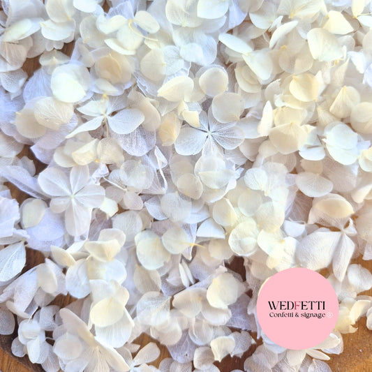 Petal Confetti hydrangea - All The Whites + Light Ivory SnowPetal