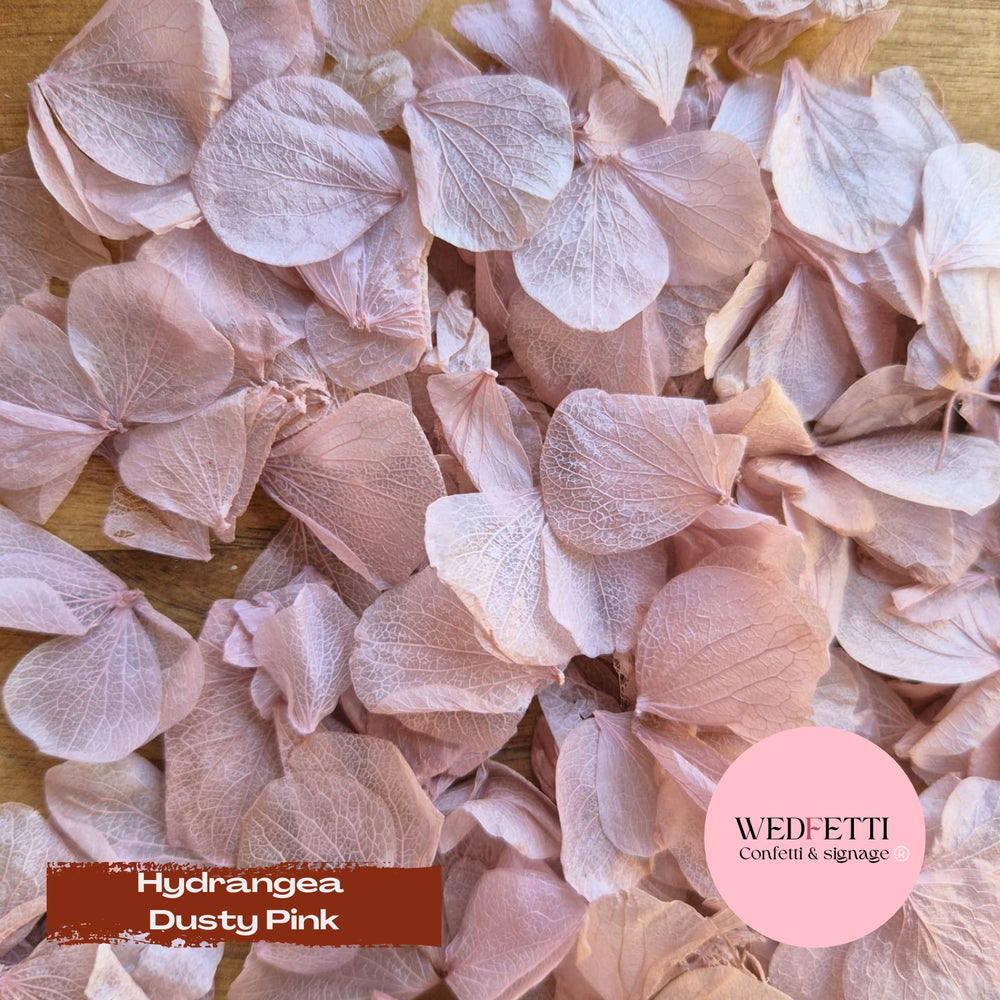 Petal Confetti hydrangea - Dusty Pink