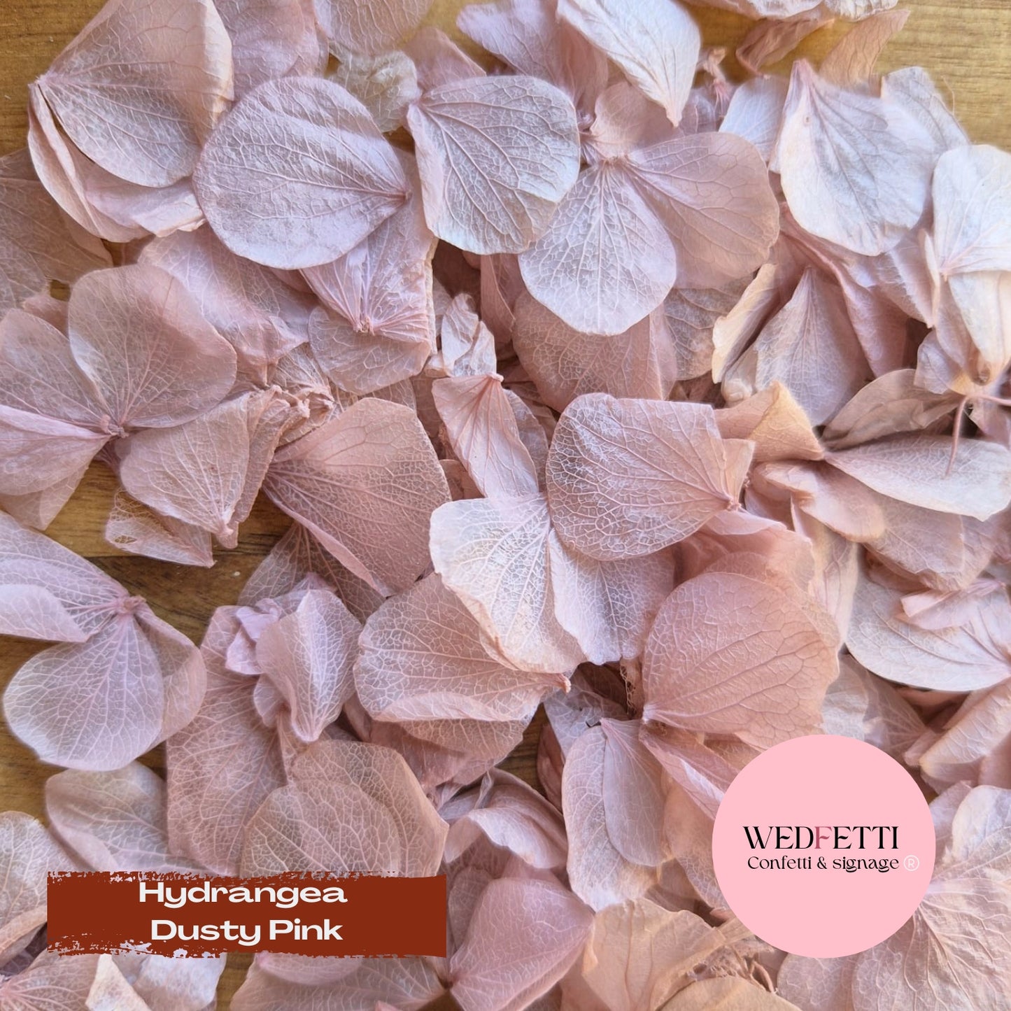 Petal Confetti hydrangea - Dusty Pink