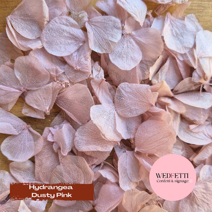 Petal Confetti hydrangea - Dusty Pink