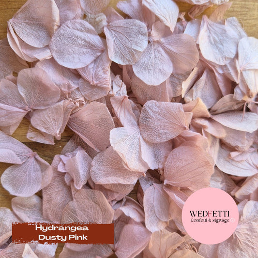 Petal Confetti hydrangea - Dusty Pink
