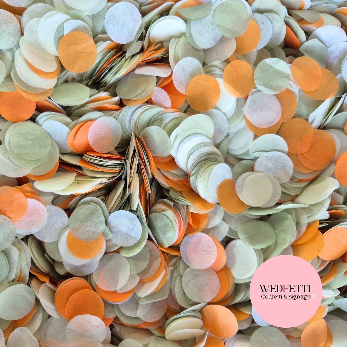 Circles Large 2.5cm Biodegradable - Light Sage October White