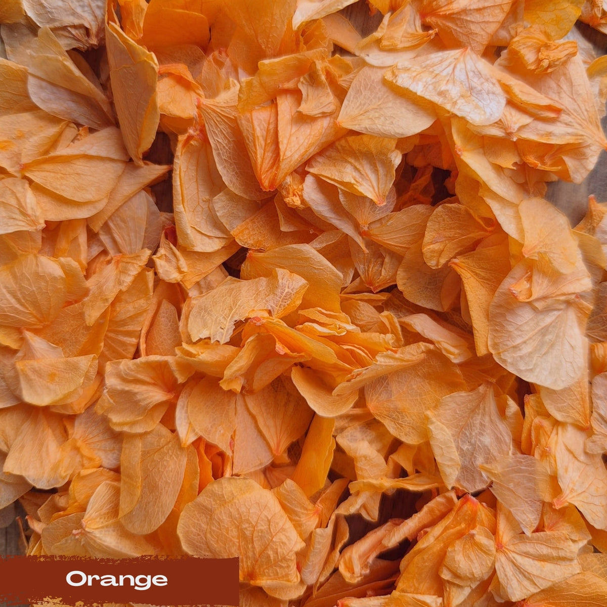 Create your own custom Hydrangea Petal Confetti mix