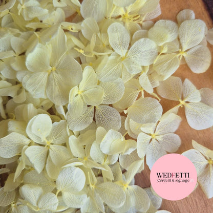 FlutterFly® Petal Confetti - Light Lemon