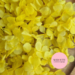 FlutterFly® Petal Confetti - Yellow