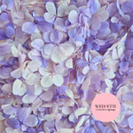 FlutterFly® Petal Confetti - Violet Gradient