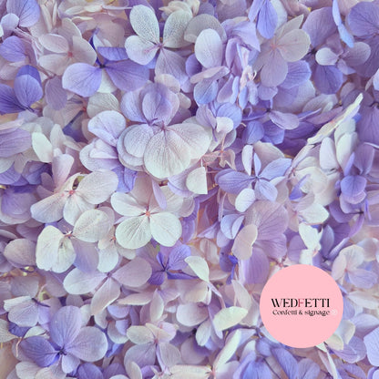 FlutterFly® Petal Confetti - Violet Gradient