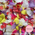 Petal Confetti hydrangea - Purple White Fuschia peach lime Red