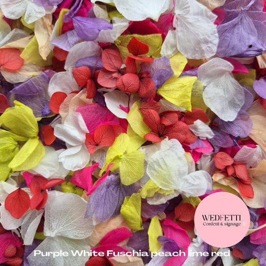 Petal Confetti hydrangea - Purple White Fuschia peach lime Red