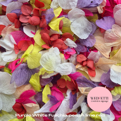 Petal Confetti hydrangea - Purple White Fuschia peach lime Red