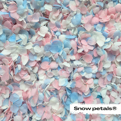 Snow Petal Confetti® - Classic Pastel