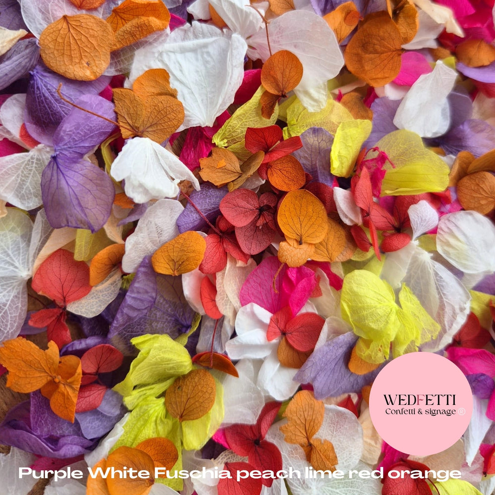 Petal Confetti hydrangea - Purple White Fuschia peach lime Red Orange