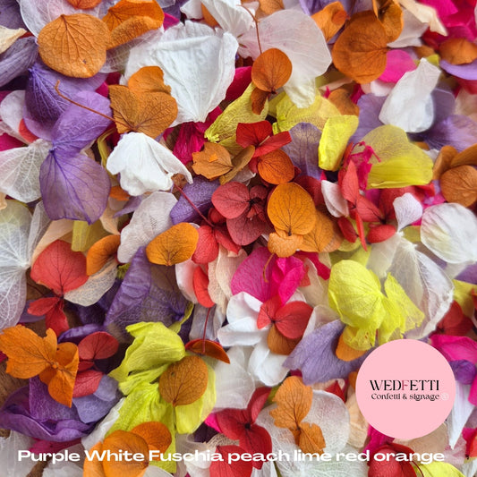 Petal Confetti hydrangea - Purple White Fuschia peach lime Red Orange