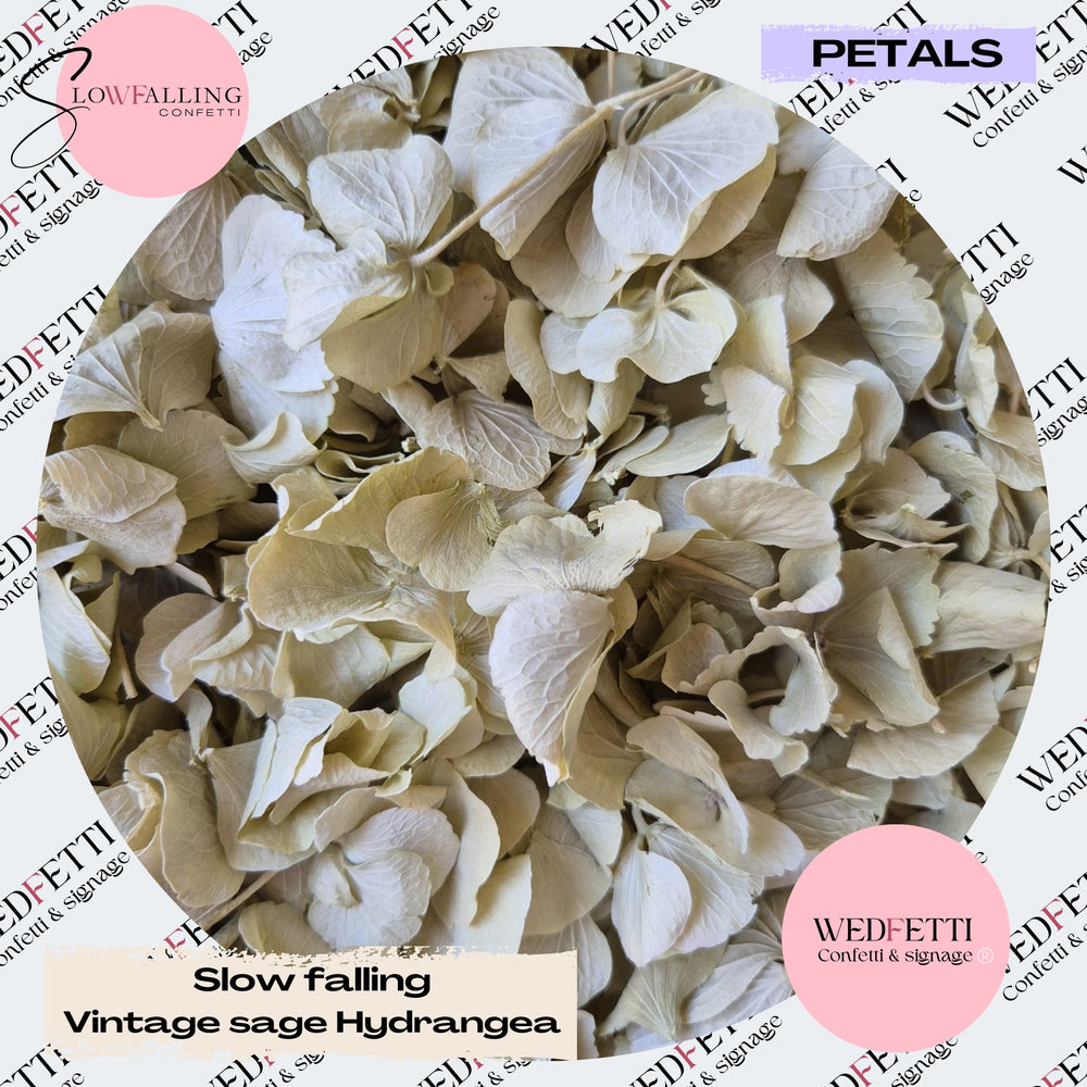 SLOW FALLING PETALS Vintage Sage hydrangea petal premium mix litre