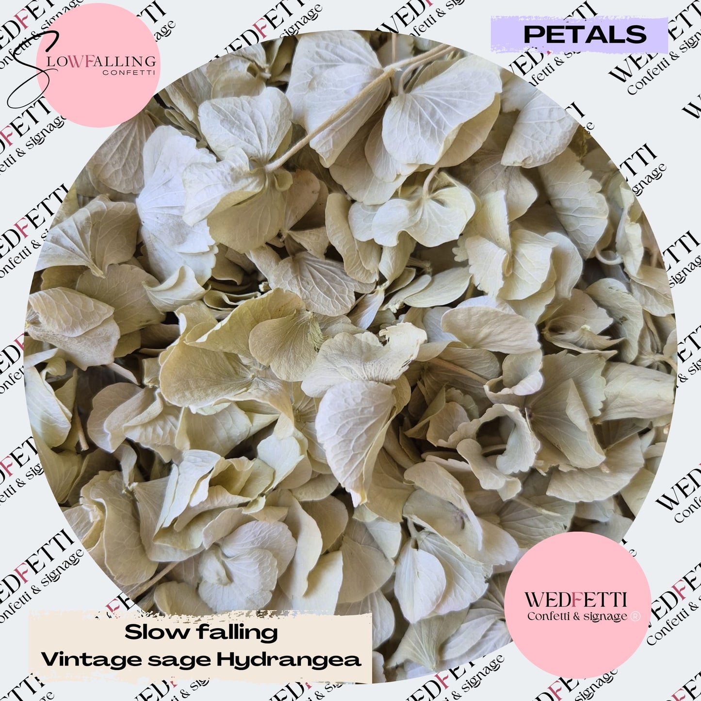 SLOW FALLING PETALS Vintage Sage hydrangea petal premium mix litre