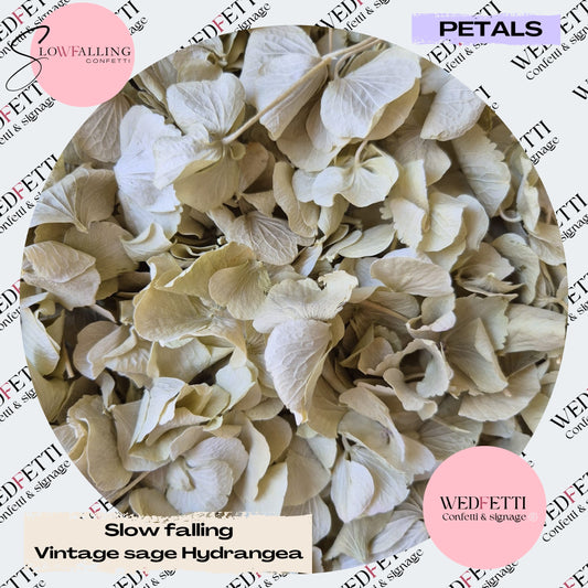 SLOW FALLING PETALS Vintage Sage hydrangea petal premium mix litre