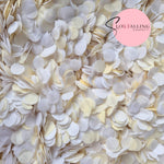 Slow falling paper Confetti - Ivory + White