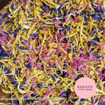 Petal Confetti - Blue & pink cornflower chrysanthemum mix