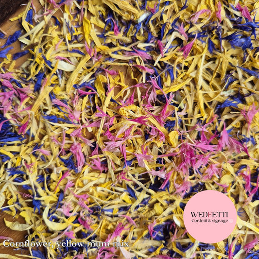 Petal Confetti - Blue & pink cornflower chrysanthemum mix