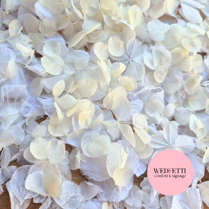 Petal Confetti hydrangea - All The Whites + Light Ivory SnowPetal