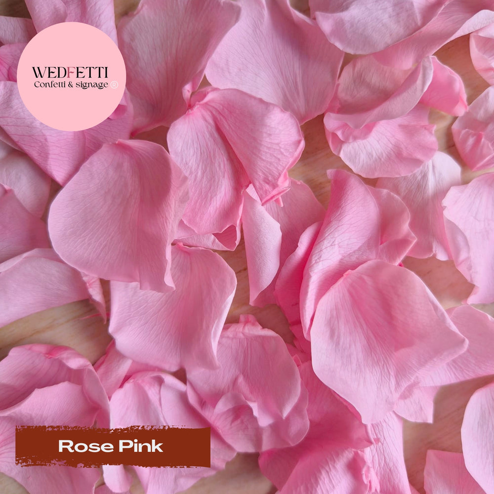 Rose Petals - Rose Pink