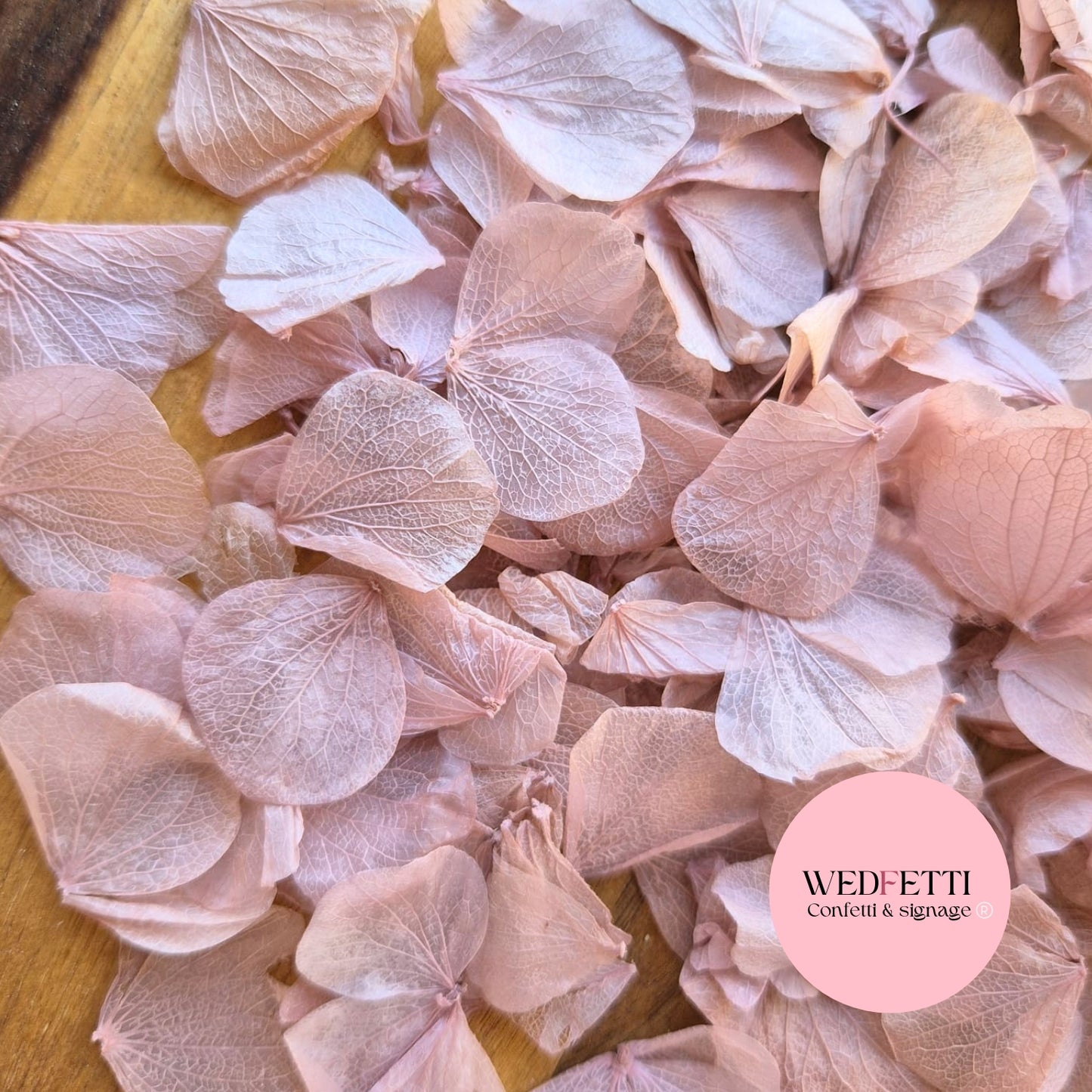 Petal Confetti hydrangea - Dusty Pink