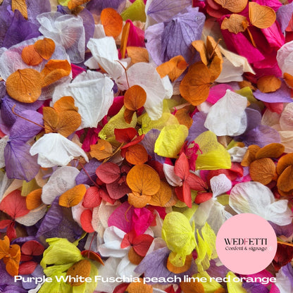 Petal Confetti hydrangea - Purple White Fuschia peach lime Red Orange