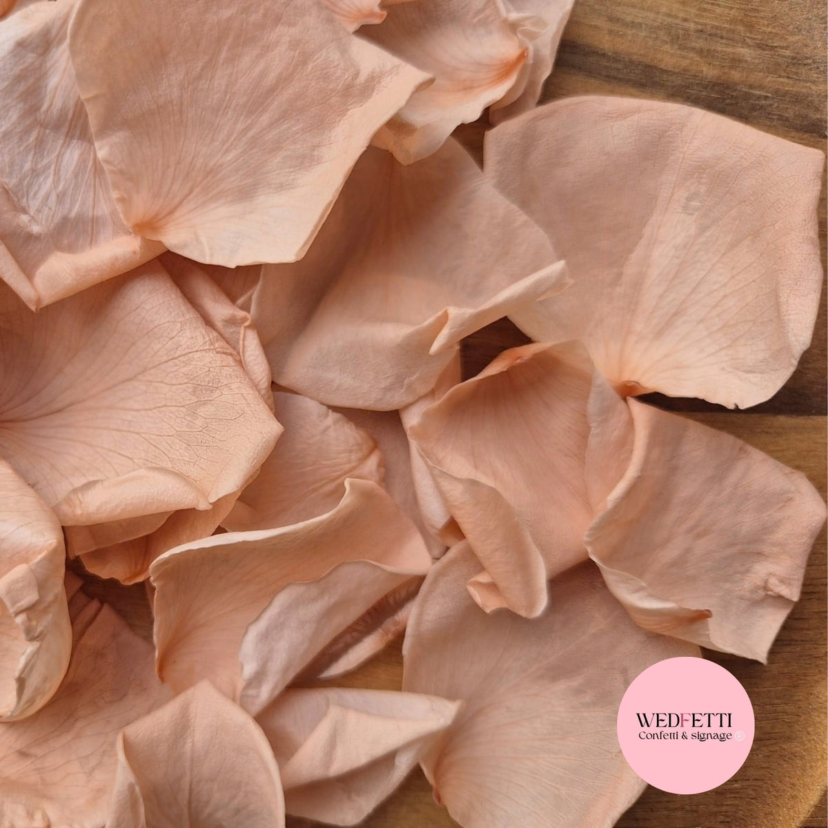 Rose Petals - Champagne