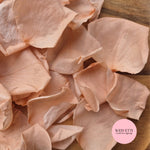 Rose Petals - Champagne