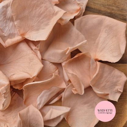 Rose Petals - Champagne