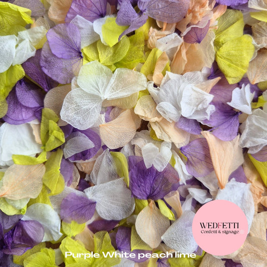 Petal Confetti hydrangea - Purple White peach lime