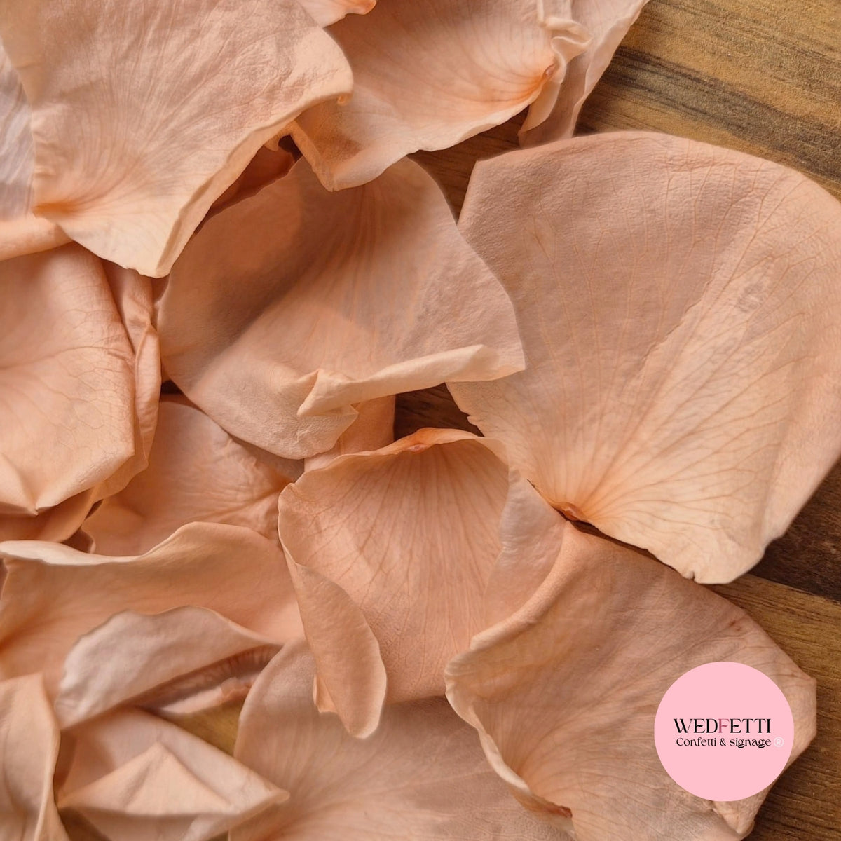 Rose Petals - Champagne