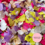 Petal Confetti hydrangea - Purple White Fuschia peach lime