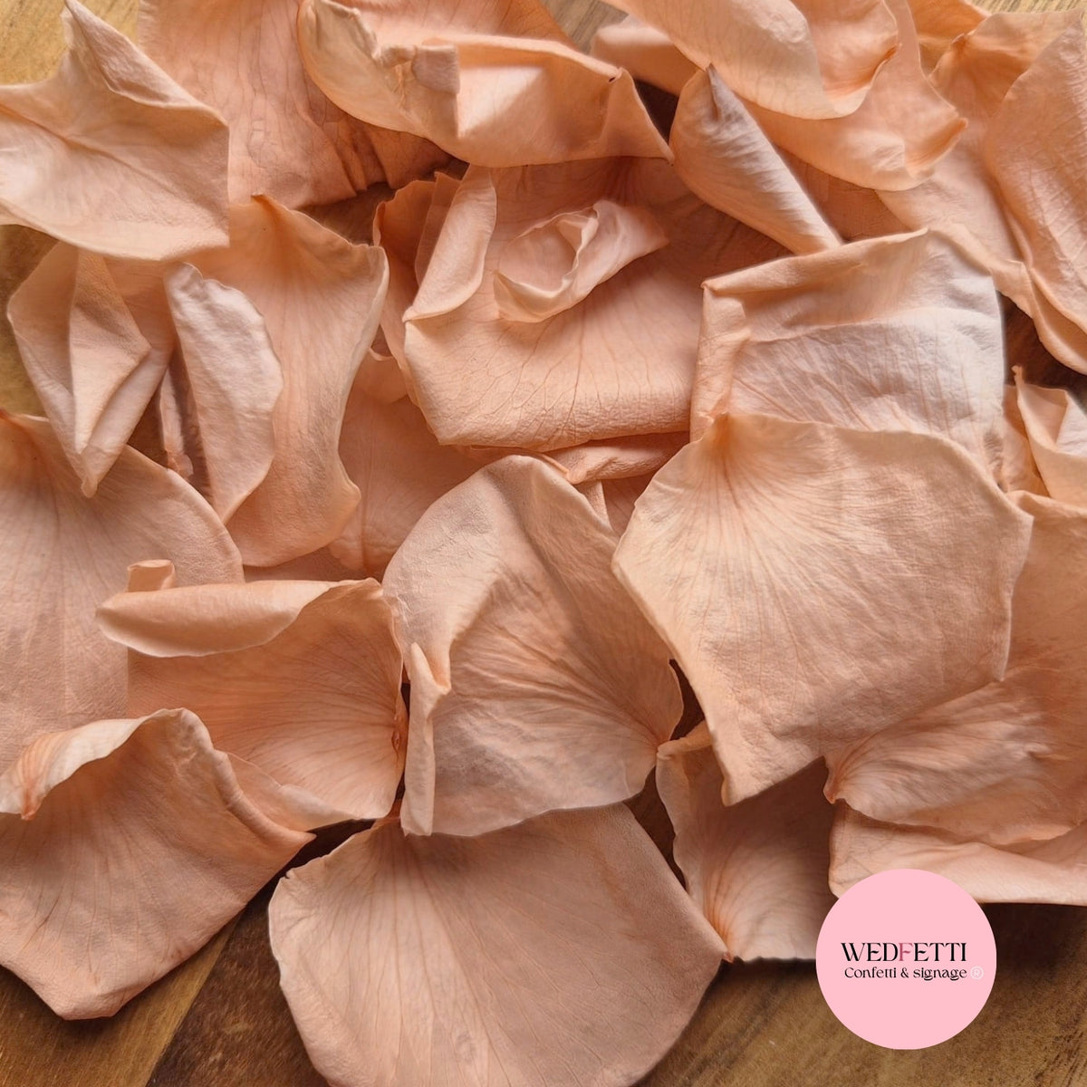 Rose Petals - Champagne