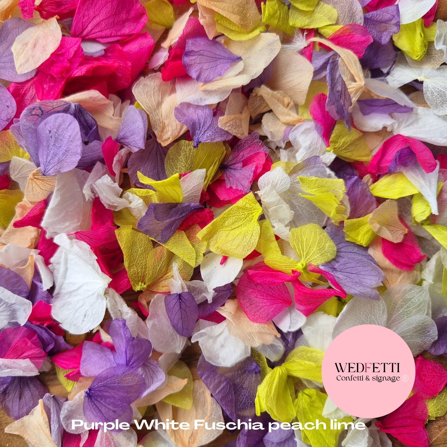 Petal Confetti hydrangea - Purple White Fuschia peach lime