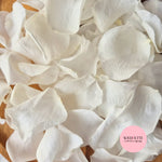 Rose Petals - Light Ivory