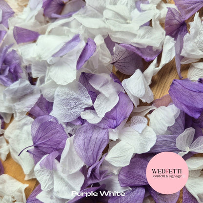 Petal Confetti hydrangea - Purple White