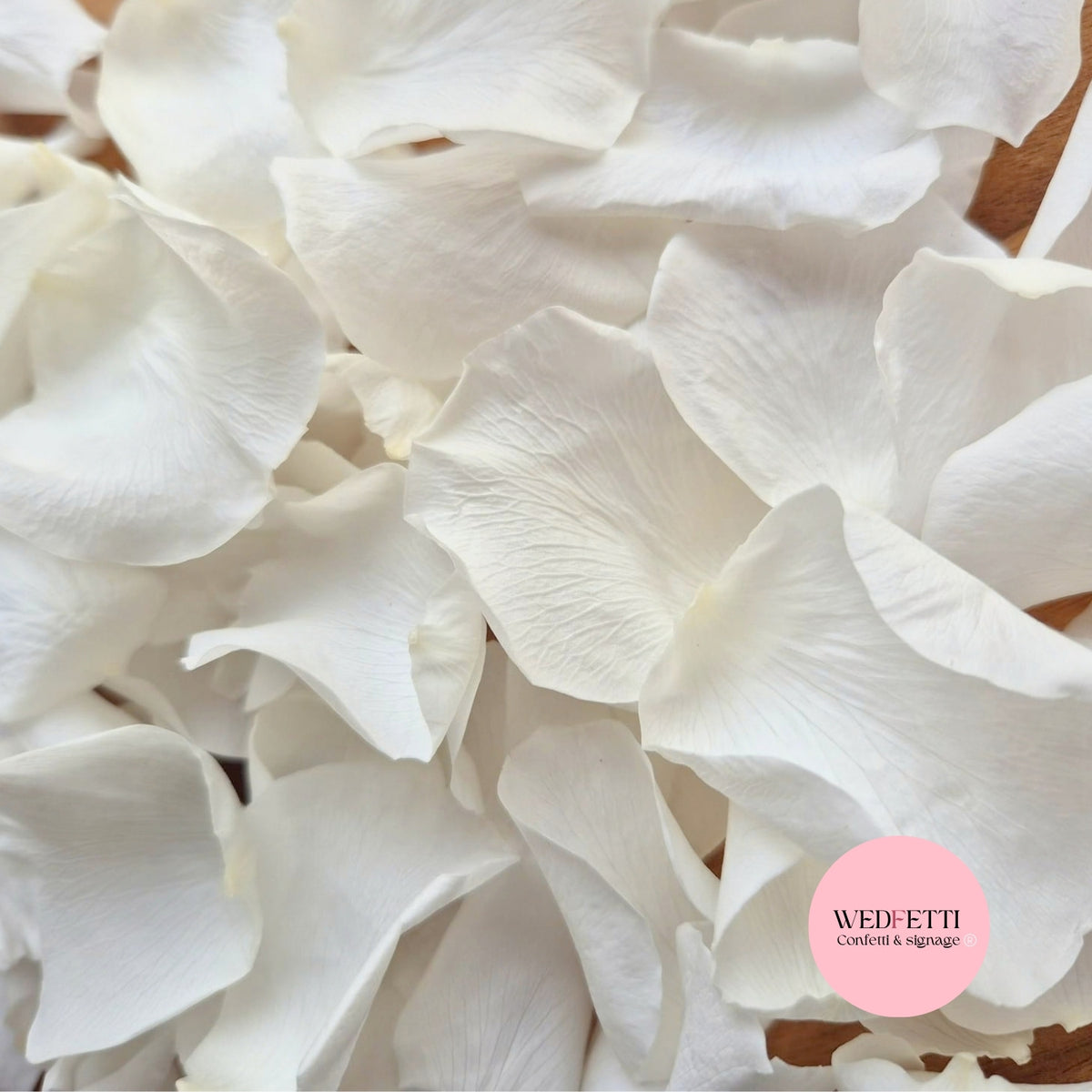 Rose Petals - Light Ivory