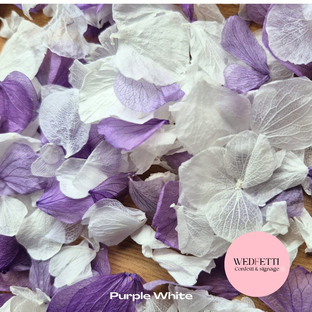 Petal Confetti hydrangea - Purple White