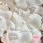 Rose Petals - Light Ivory