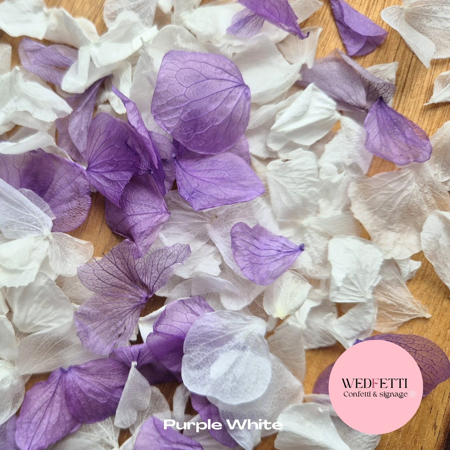 Petal Confetti hydrangea - Purple White