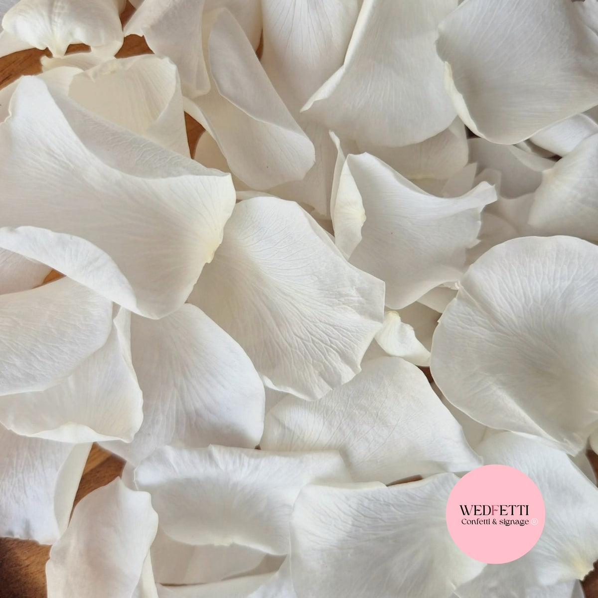 Rose Petals - Light Ivory