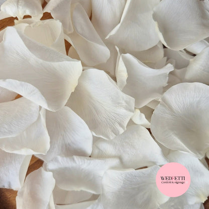 Rose Petals - Light Ivory