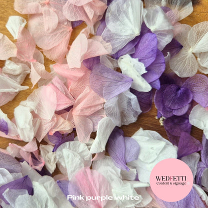 Petal Confetti hydrangea - Pink Purple White