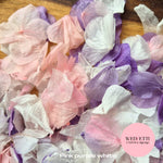 Petal Confetti hydrangea - Pink Purple White