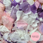 Petal Confetti hydrangea - Pink Purple White