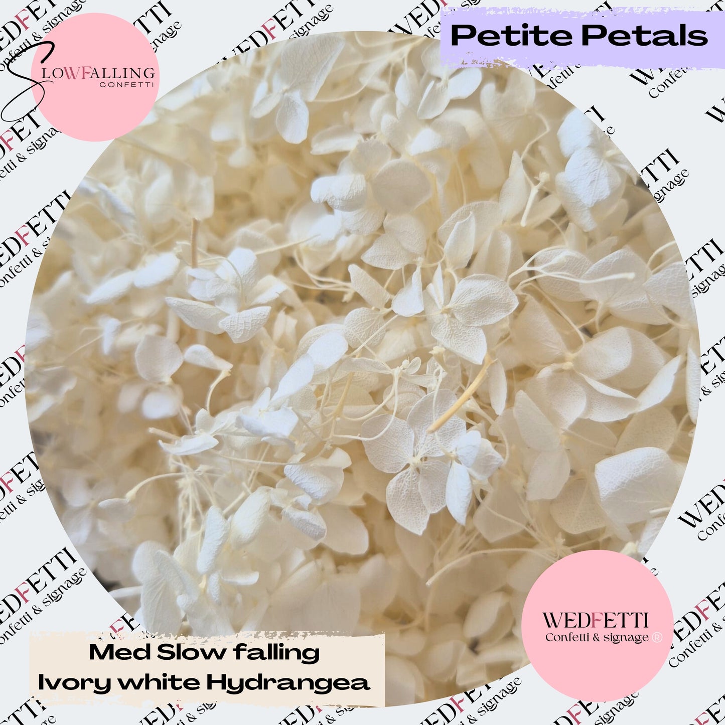 White Ivory hydrangea petals small