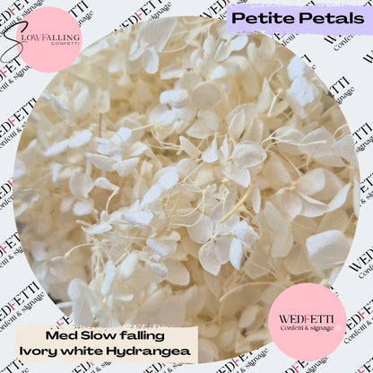 White Ivory hydrangea petals small