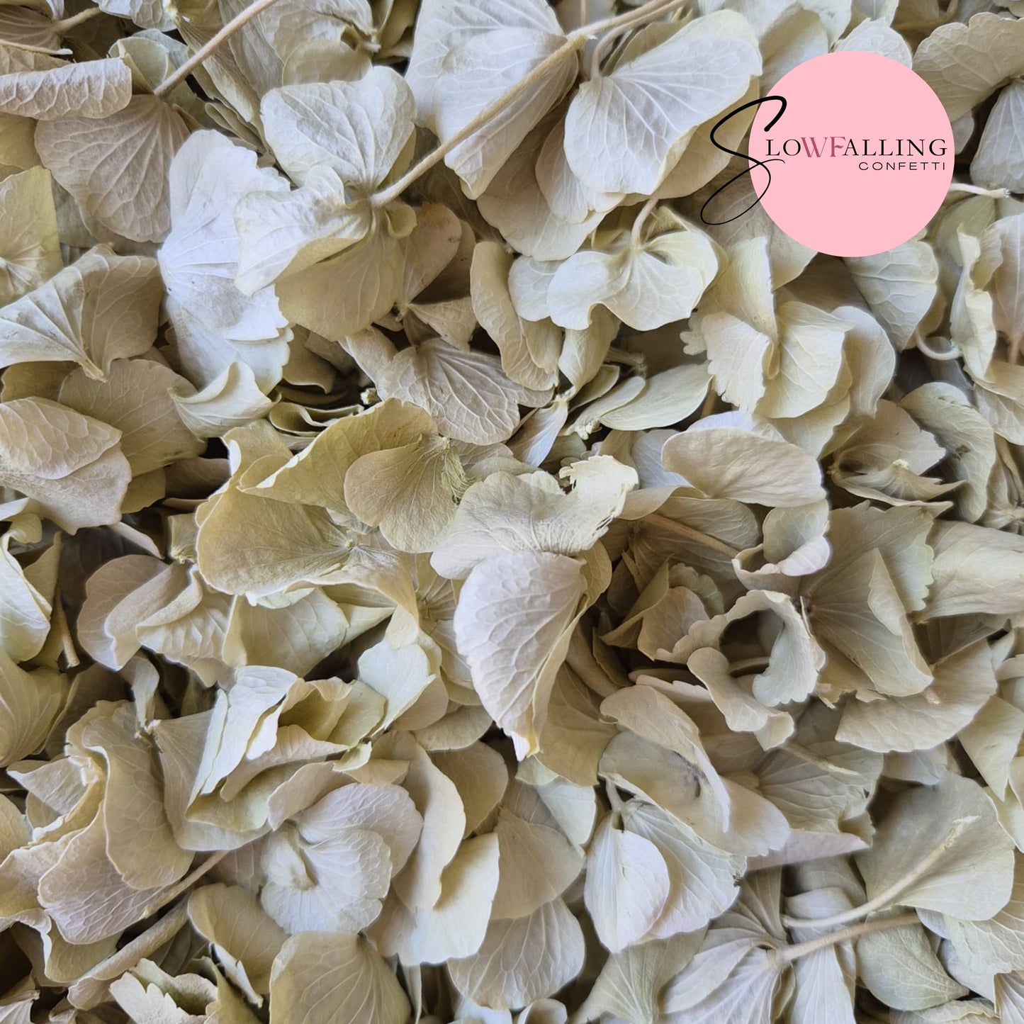 SLOW FALLING PETALS Vintage Sage hydrangea petal premium mix litre