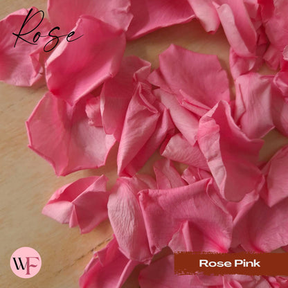 Rose Petals - Rose Pink
